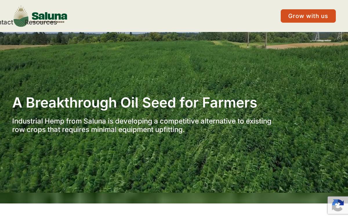 Saluna website preview