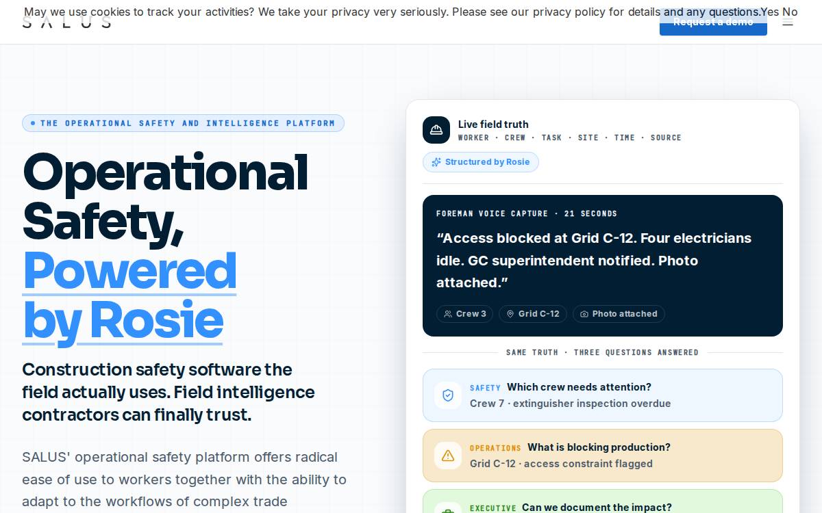 Salussafety website preview