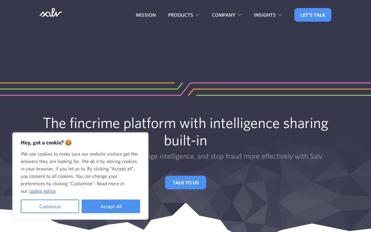 Salv website preview