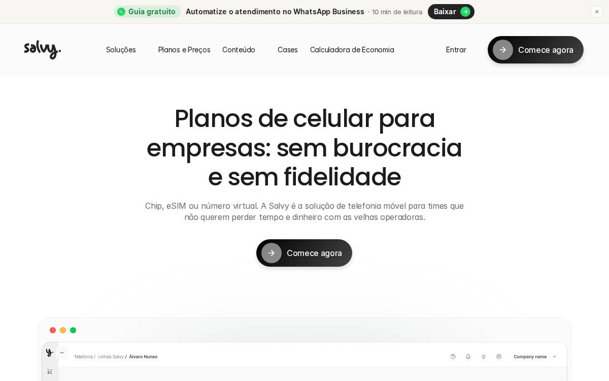 Salvy website preview
