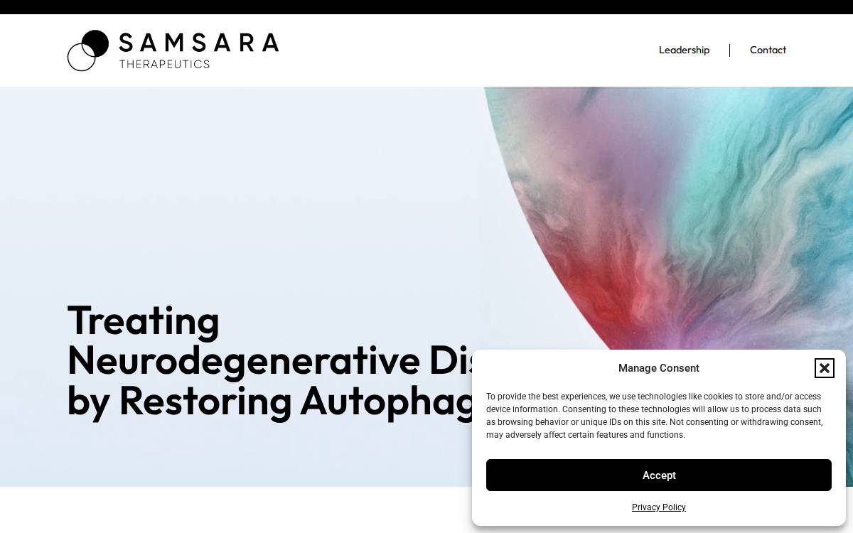 Samsara website preview