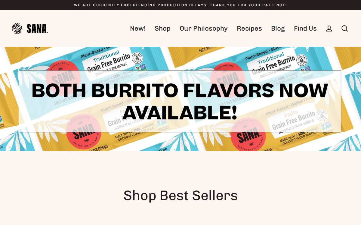 Sanafoods website preview