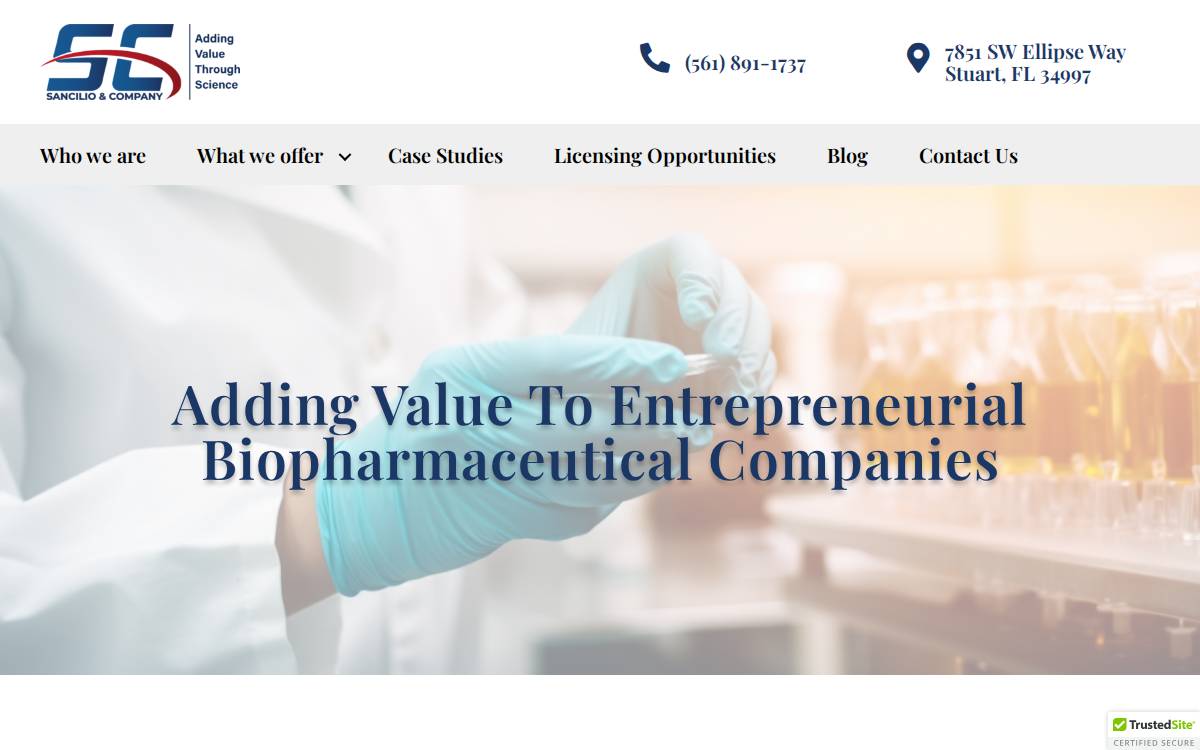 Sancilio website preview