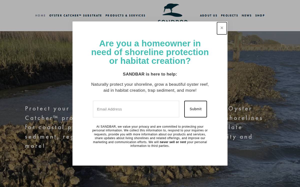 Sandbar Oyster Company website preview