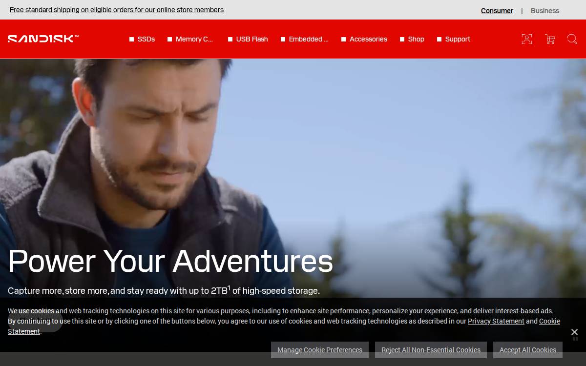 SanDisk website preview