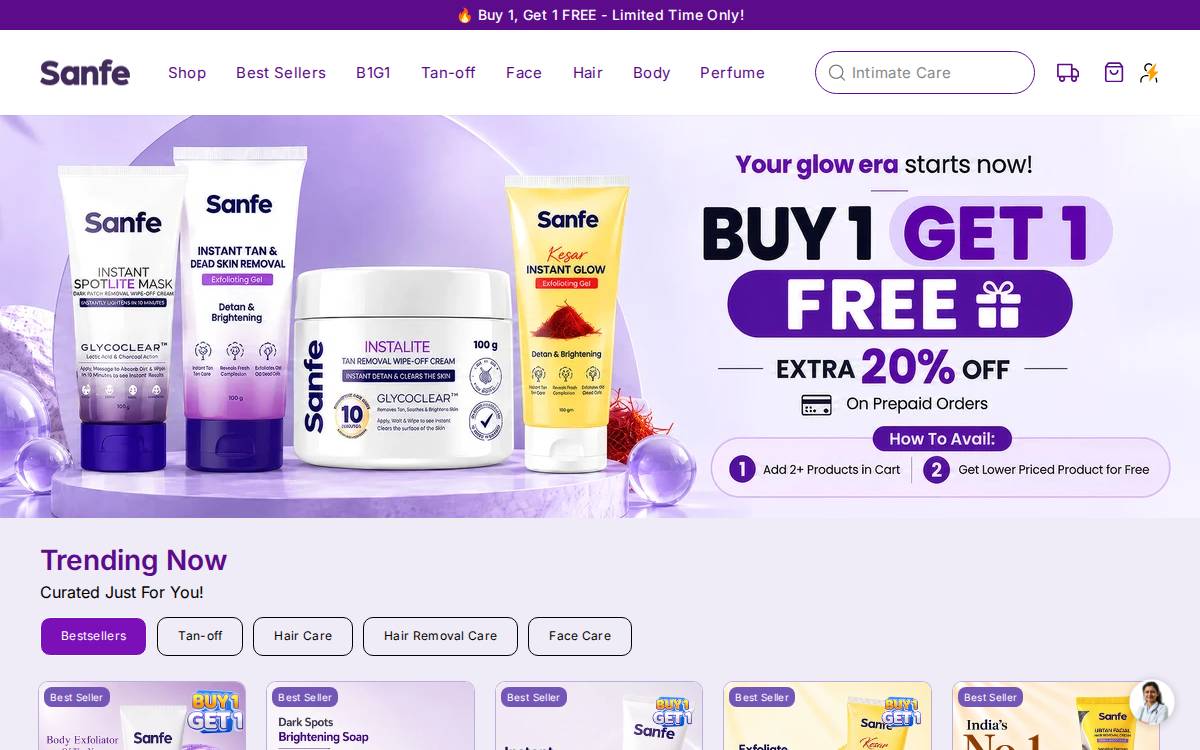 Sanfe website preview