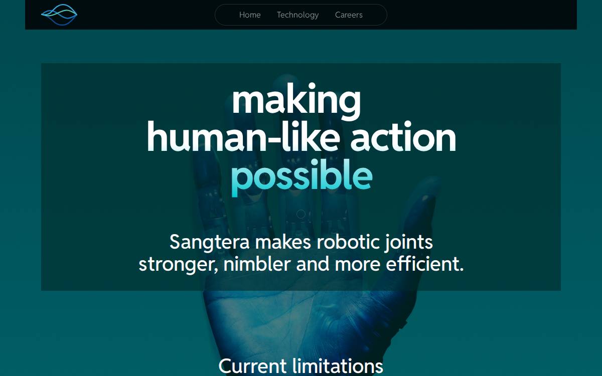 Sangtera website preview