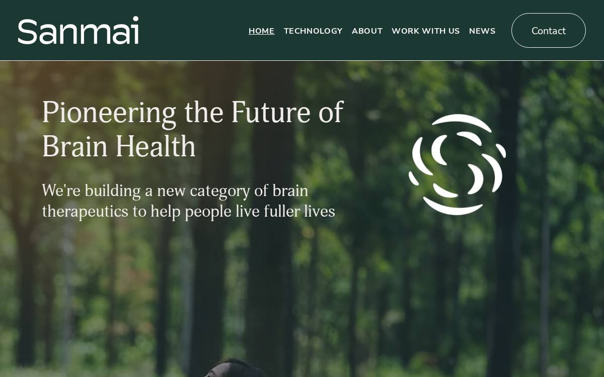 Sanm website preview