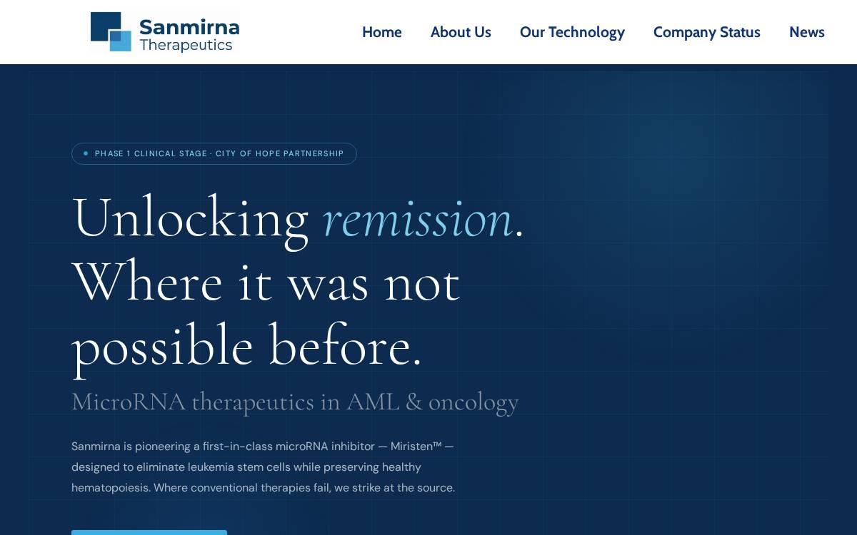 Sanmirna website preview