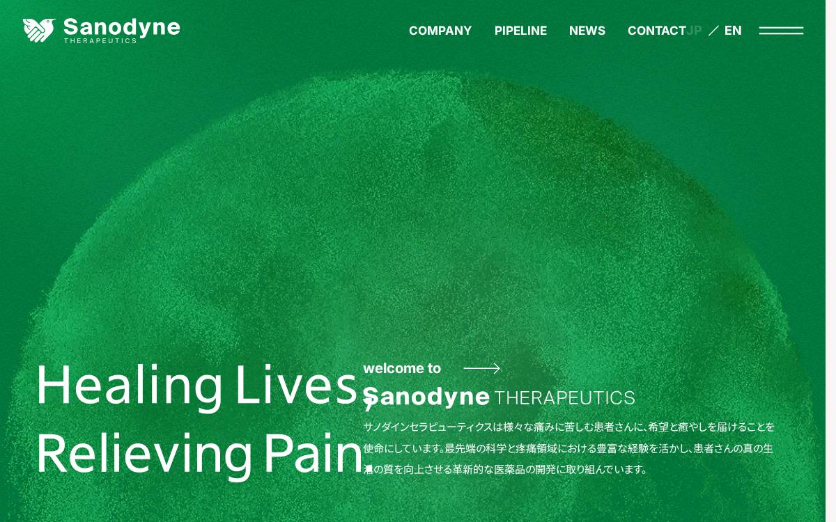 Sanodyne website preview