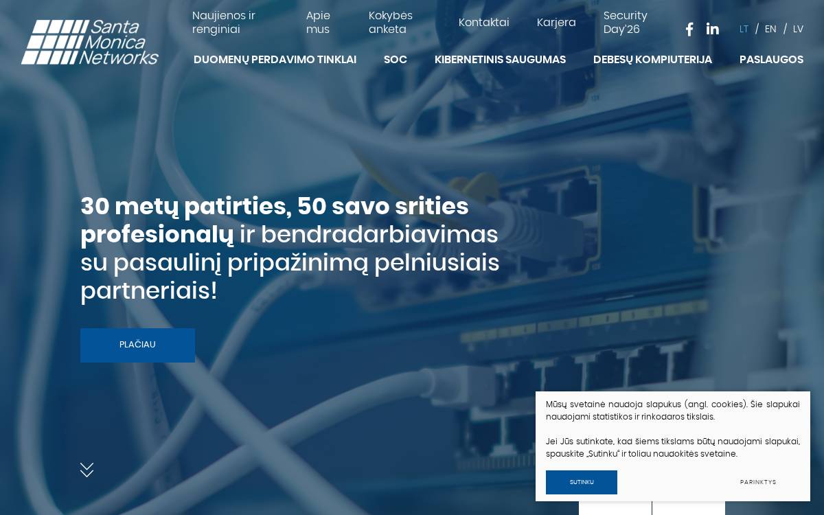 Santa Monica Networks website preview