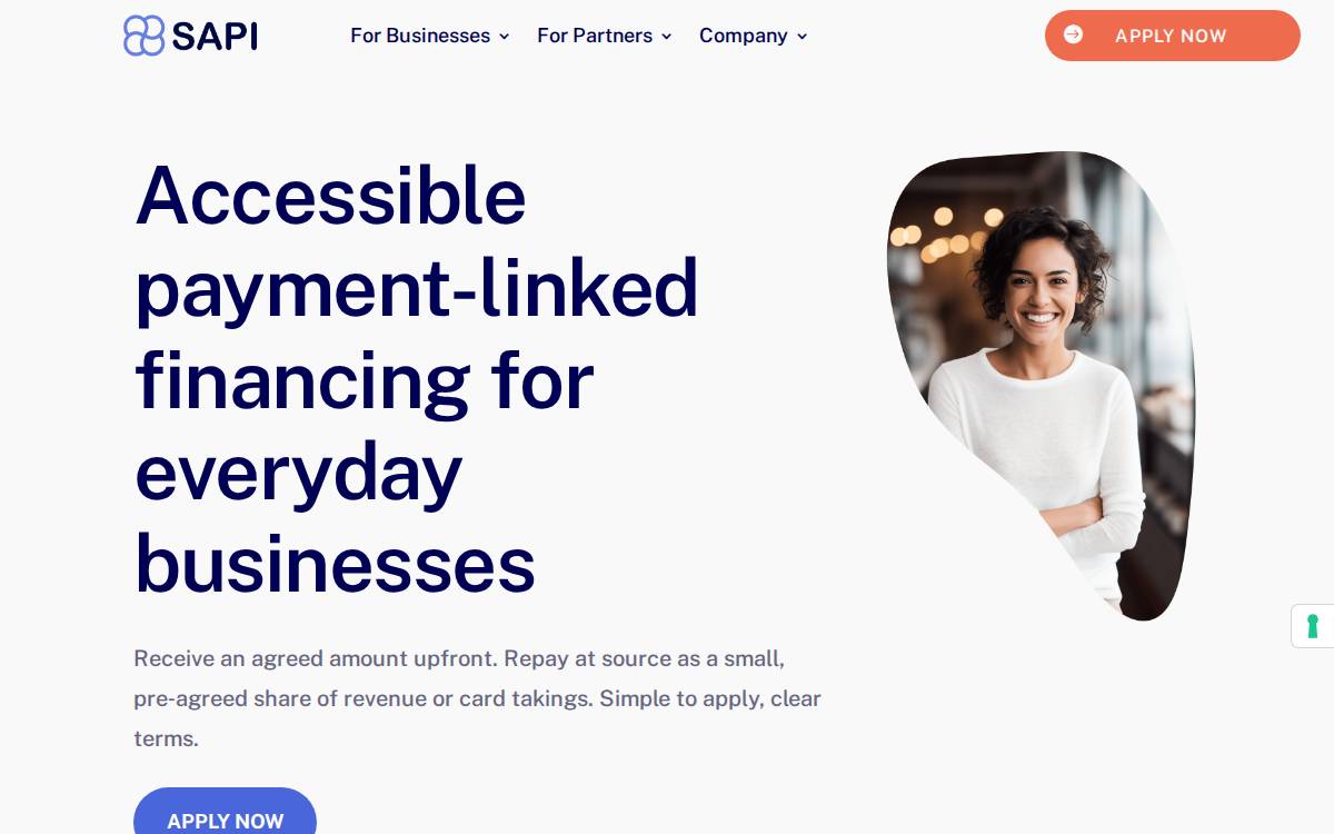 SAPI website preview