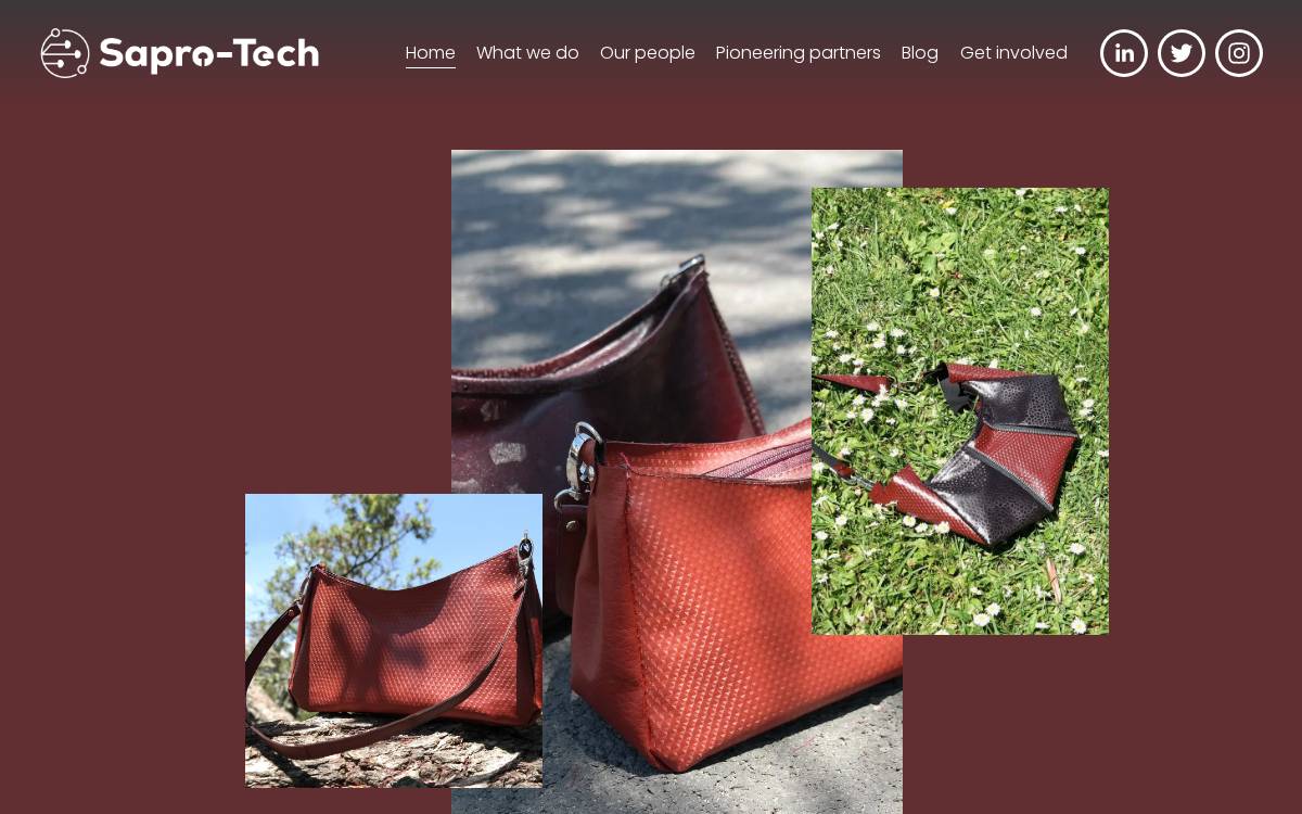 SaproTech website preview