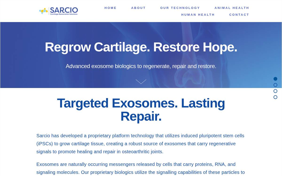 Sarcio website preview
