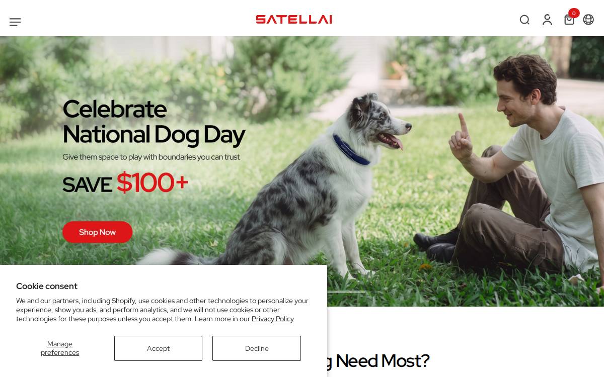Satellai website preview