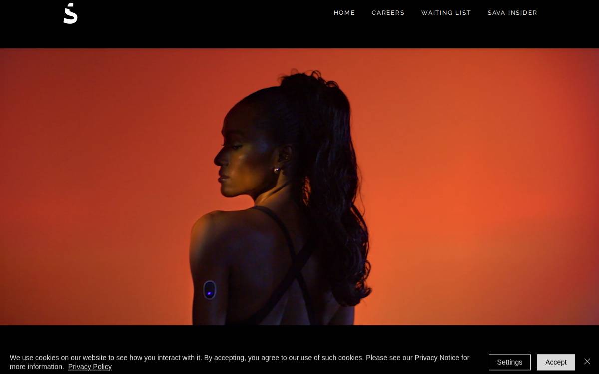 SAVA website preview