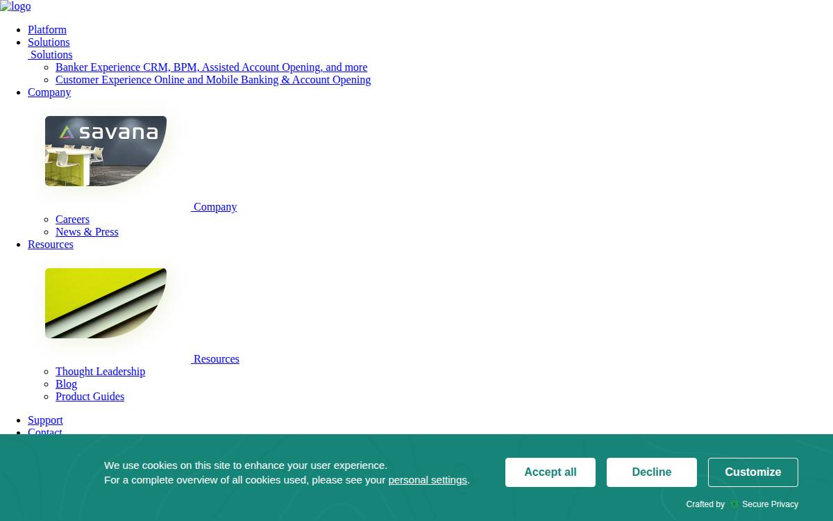 Savanainc website preview