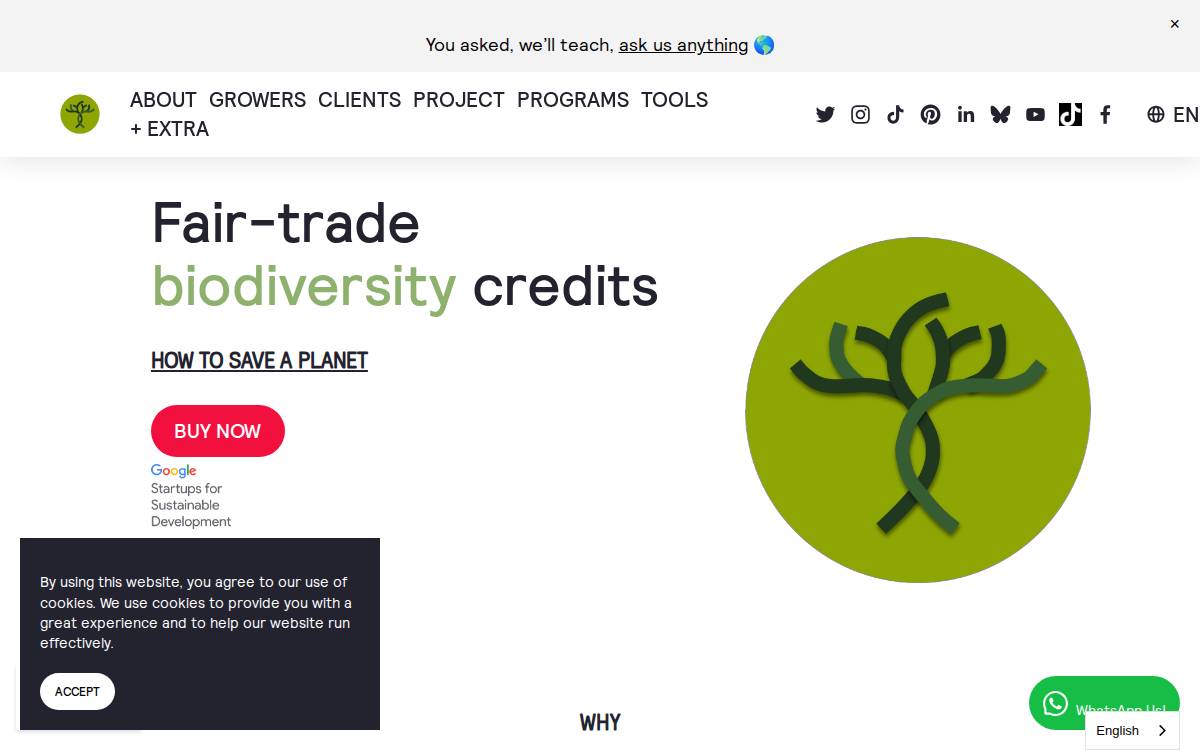 Savimbo website preview