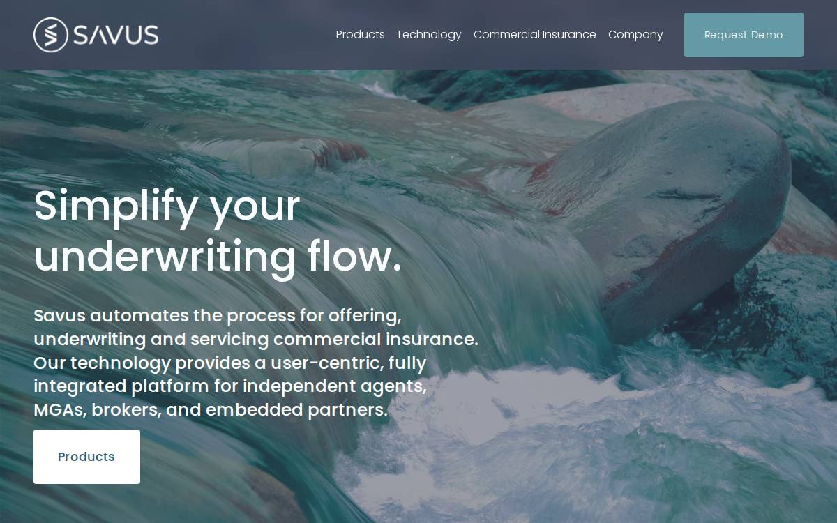 Savus website preview