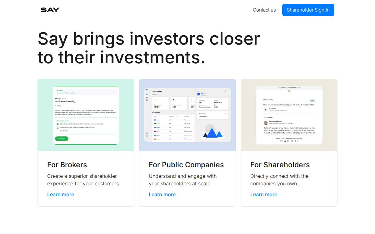 Say website preview