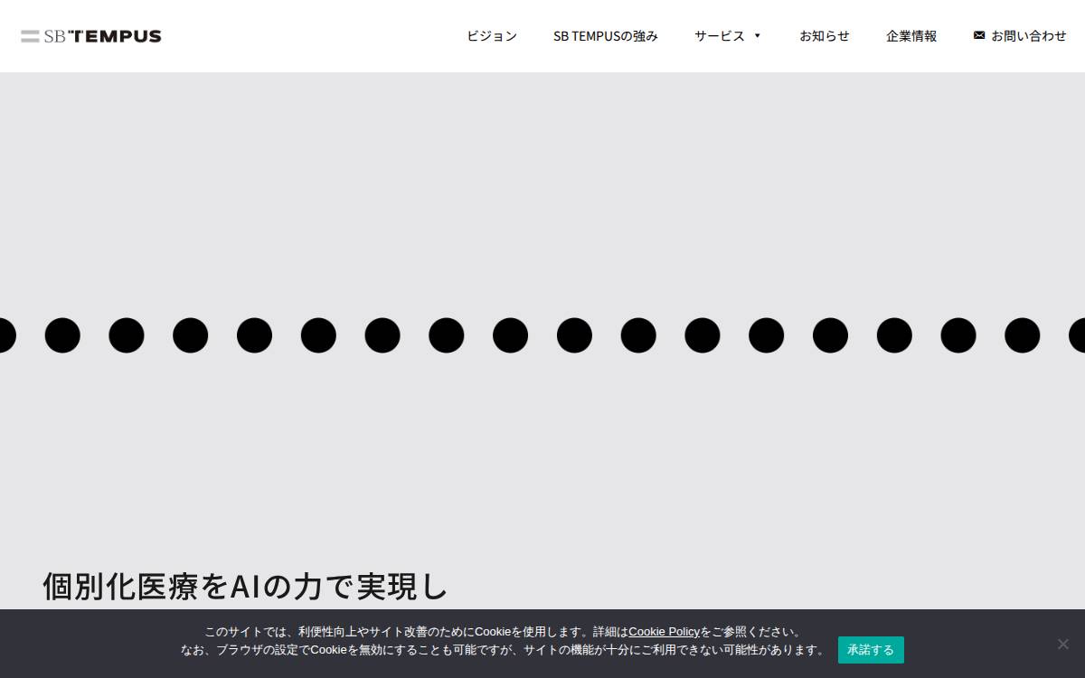 SB TEMPUS Corp. Website website preview