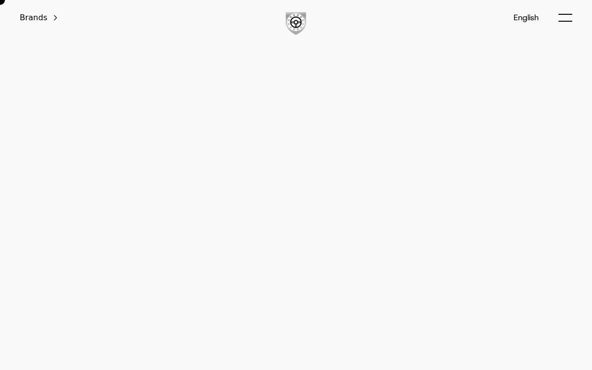 SC Group website preview