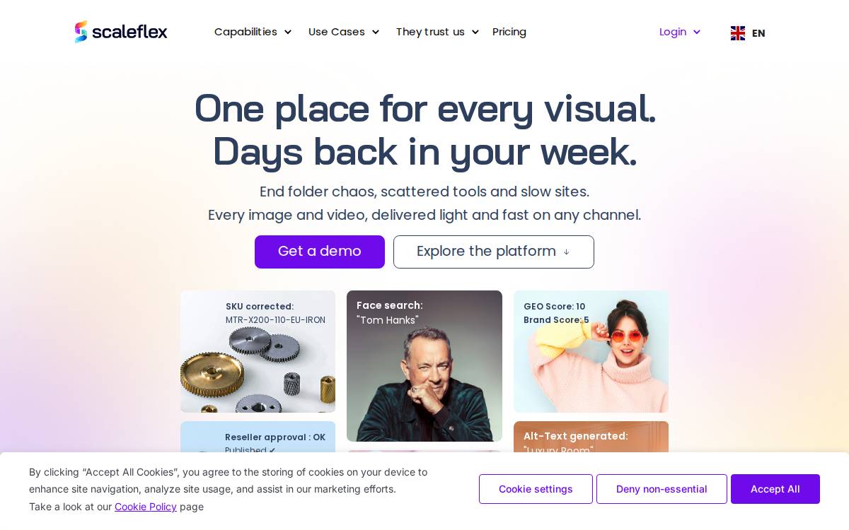 Scaleflex website preview