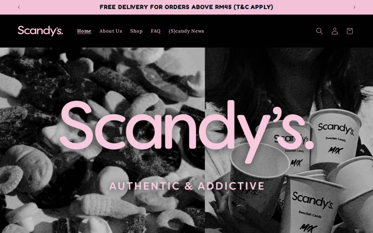 Scandys website preview