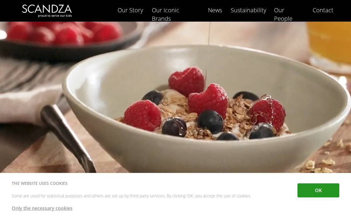 Scandza website preview
