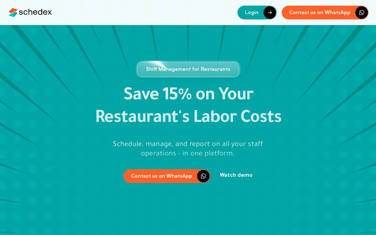 Schedex website preview