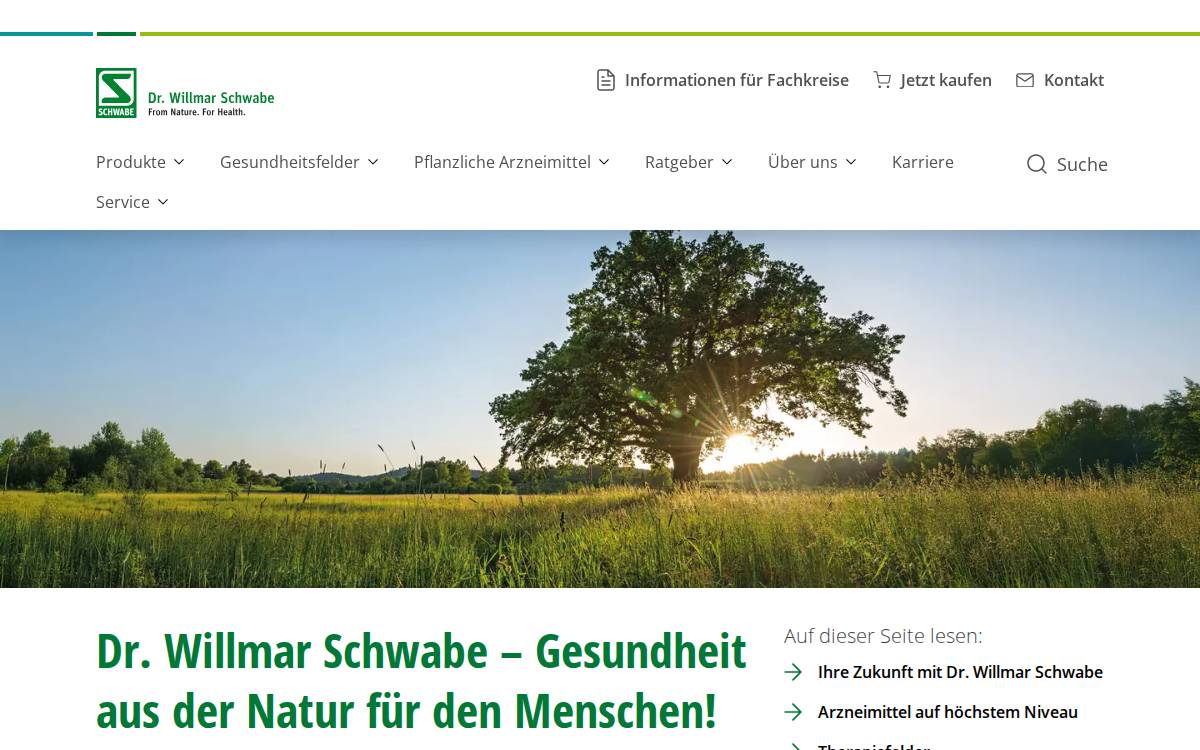 Schwabe Group website preview