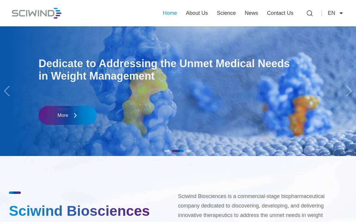 Sciwind website preview