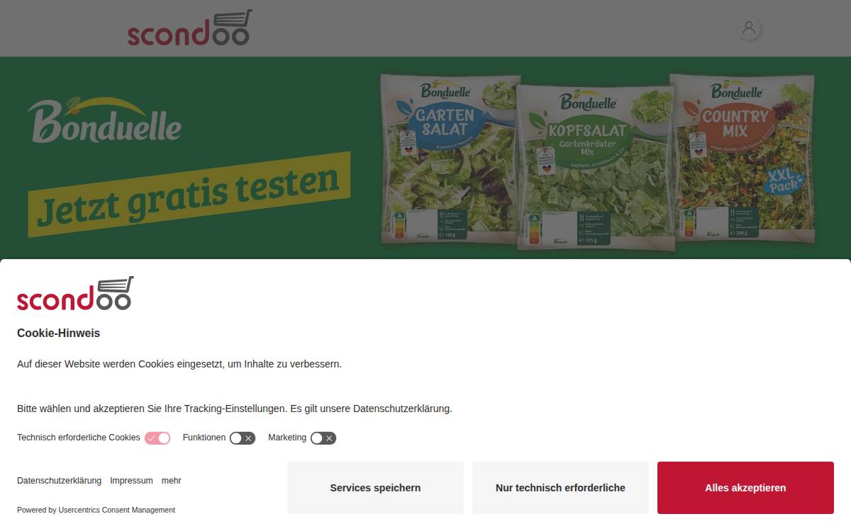 Scondoo website preview
