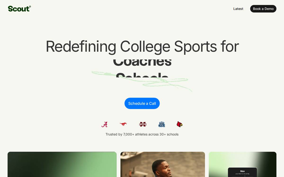 Scout website preview
