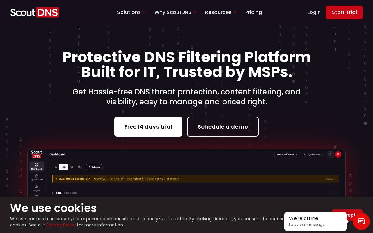 ScoutDNS website preview