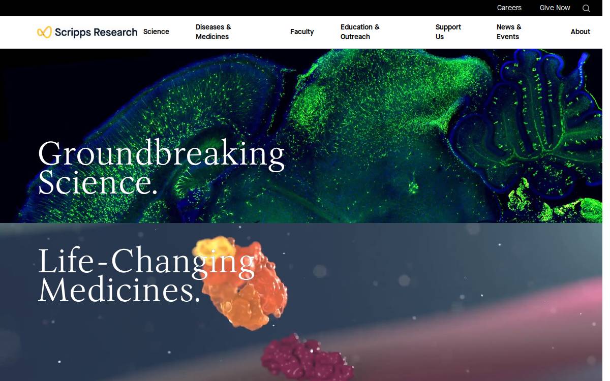 Scripps Florida website preview