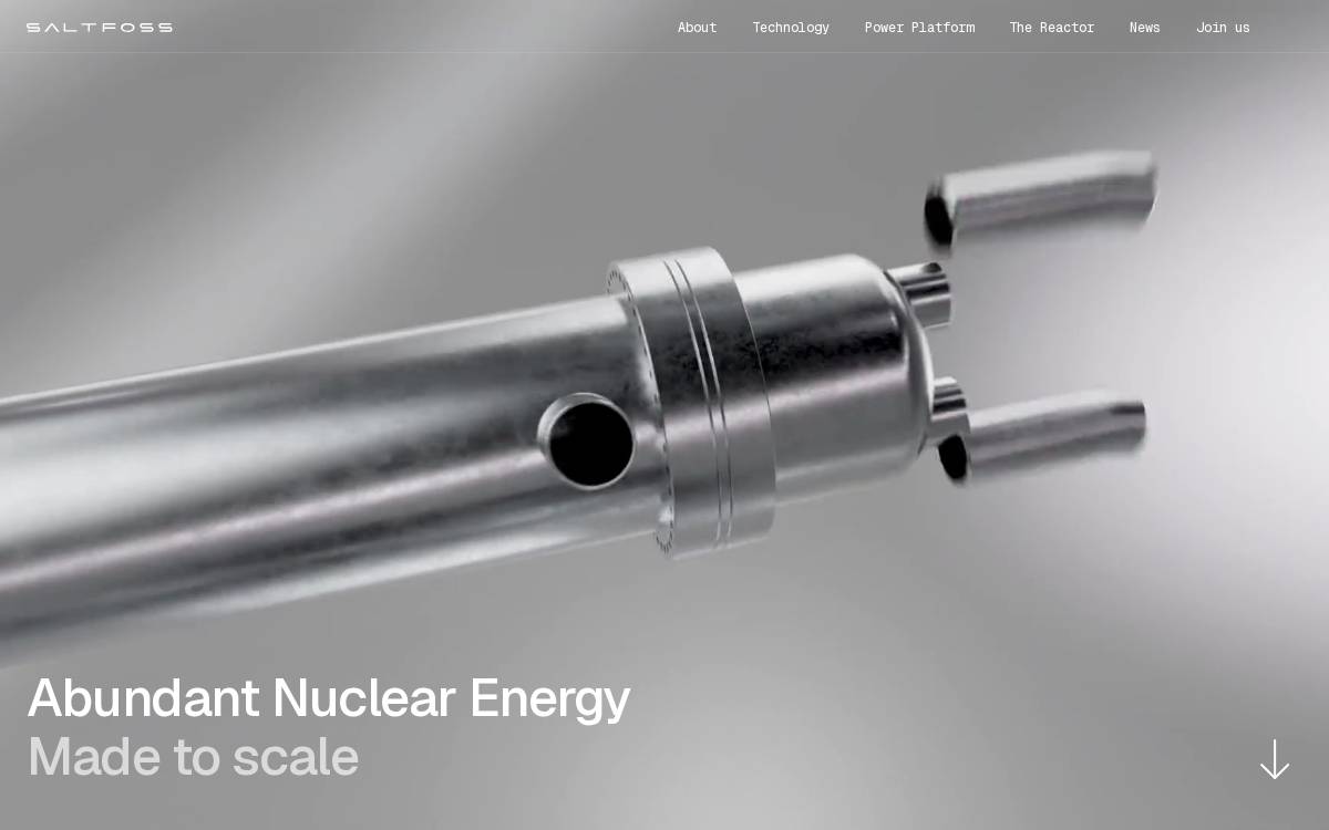 Seaborg Technologies website preview