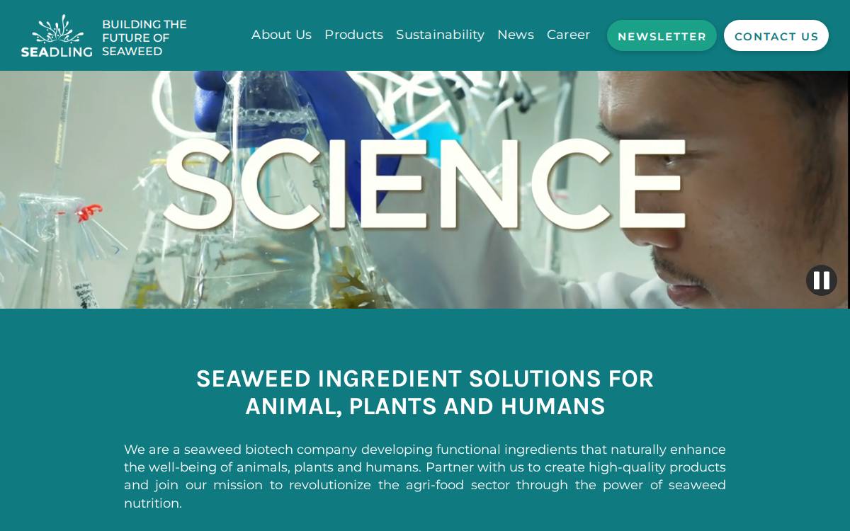Seadling website preview