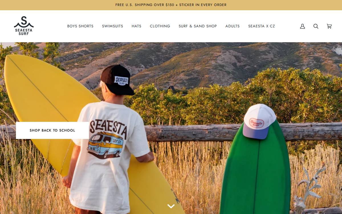 Seaesta Surf website preview