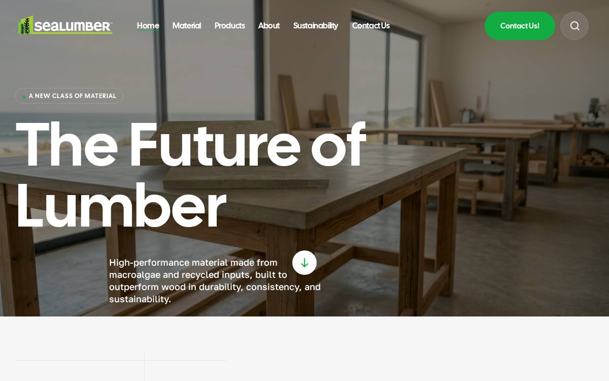 SEALUMBER website preview