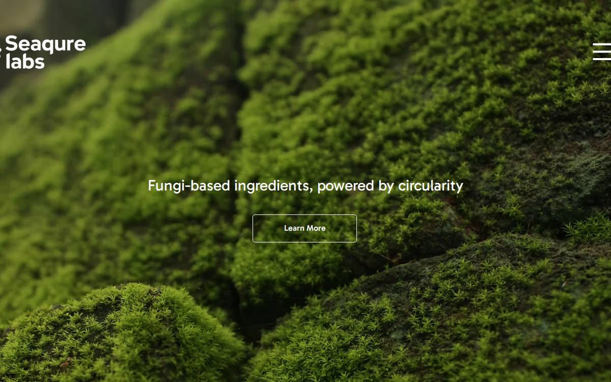 Seaqure Labs website preview