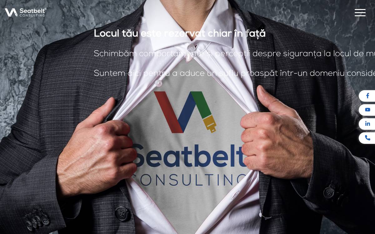 Seatbelt Consulting website preview