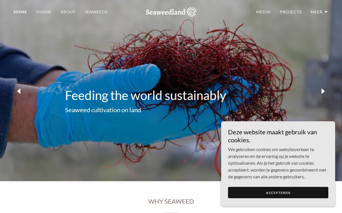 Seaweedland website preview
