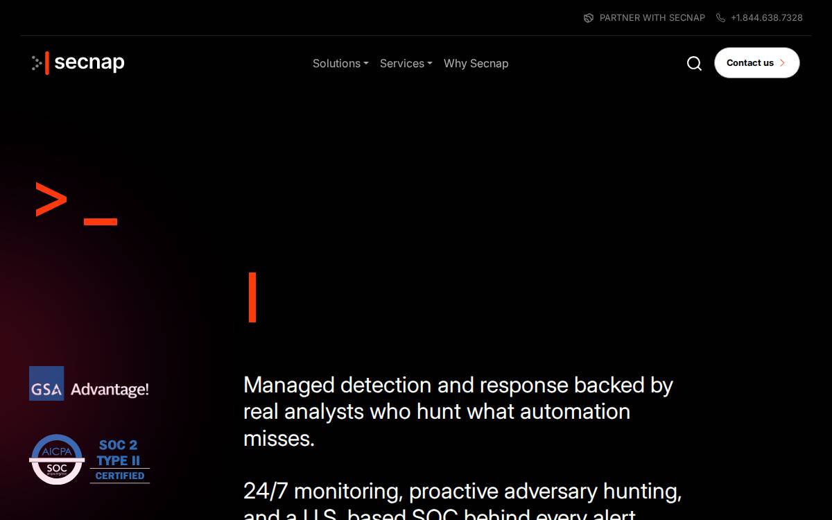 Secnap Network Security website preview