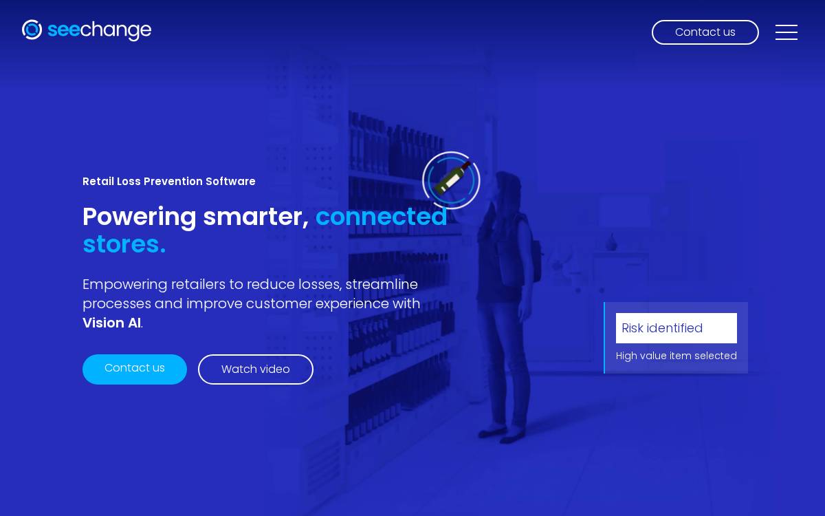 SeeChange Technologies website preview