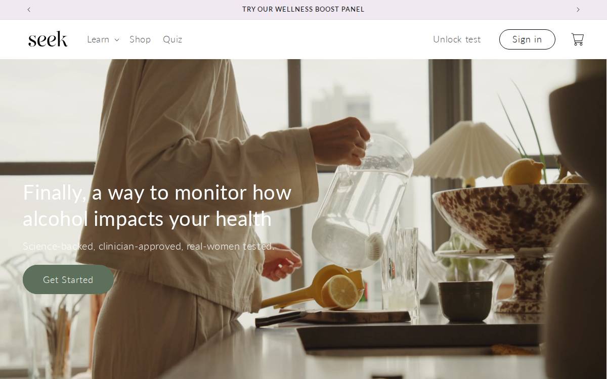Seek website preview