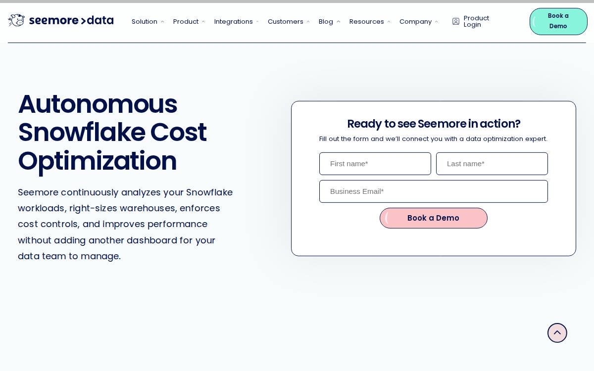 Seemore Data website preview