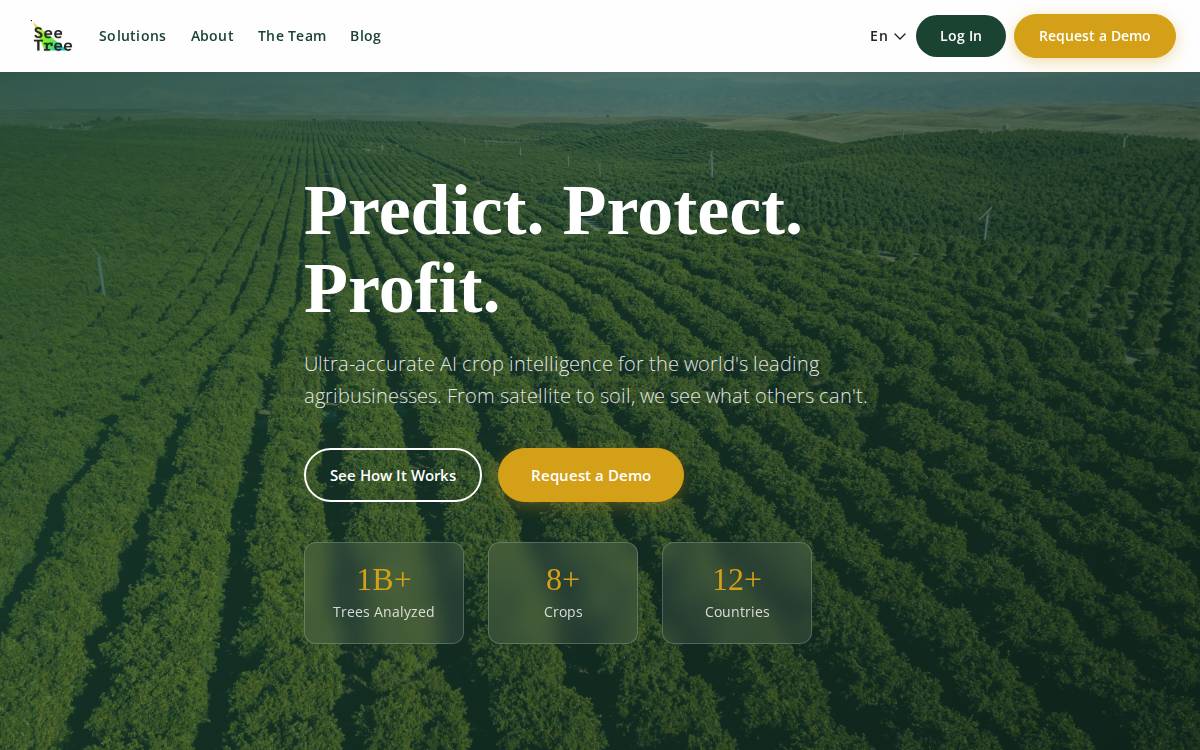 Seetree website preview
