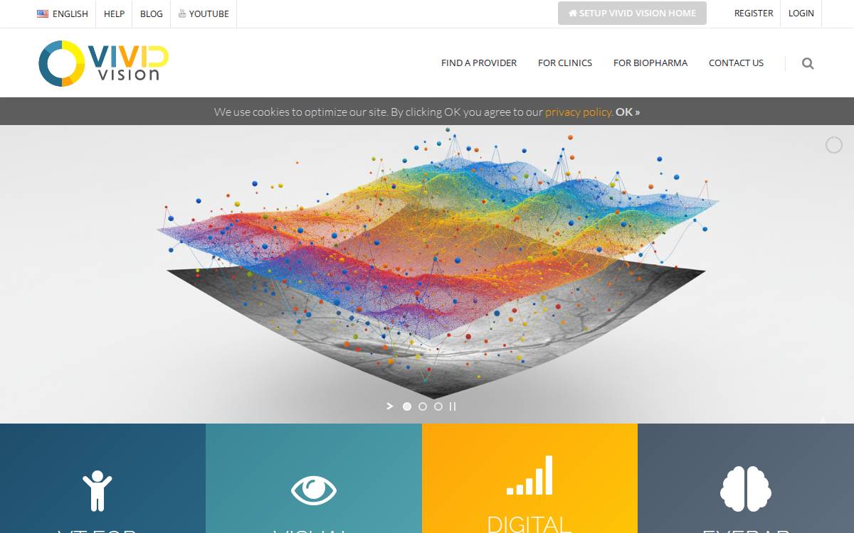 Seevividly website preview