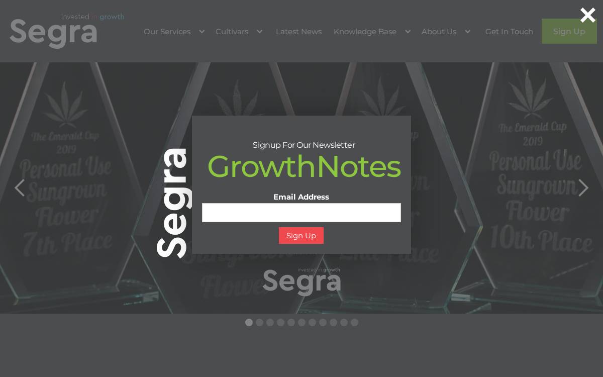 Segra Intl website preview